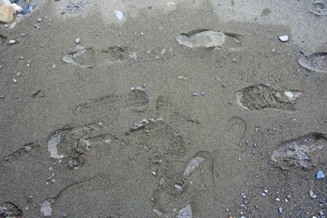 Footprints in the sand