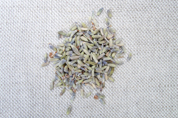 Dried soft herb lavender