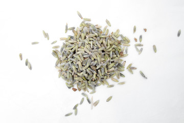 Dried soft herb lavender