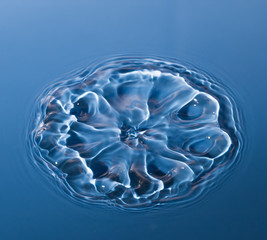 drop of water liquid with splash isolated. the drop explodes in the water sending spray to the...