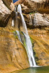Lower Calf Creek Falls 6