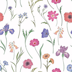 Beautiful seamless floral pattern . Flower vector illustration. Field of flowers