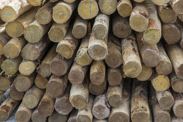 Pile of wooden poles