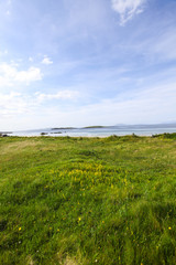 Green meadow on the coast of the sea with the blue sky