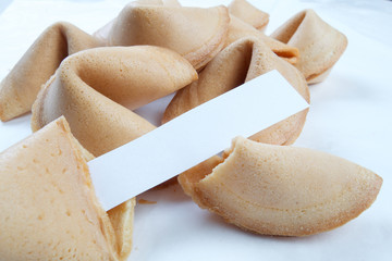 Fortune cookies forecasting and wishing good luck