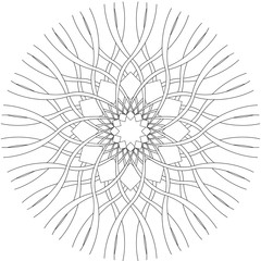 Obraz premium Radial black and white ornament