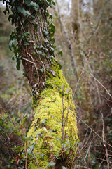 The beautiful views of the French mountains and the surrounding area, South of France, Europe.