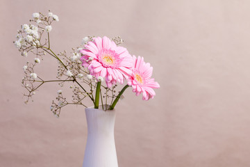 rosa gerbera i en vas framför tapet med utrymme för egen text