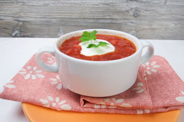 Traditional Russian vegetarian soup