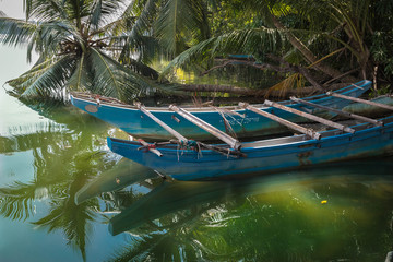 Auslegerkanu in der Lagune, Sri Lanka