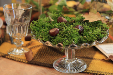green moss decoration on the table