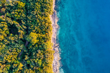 Coastal area with blue clear water and forest on land - aerial view taken by drone - obrazy, fototapety, plakaty