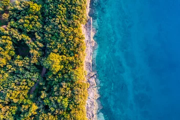 Poster Im Rahmen Küstengebiet mit blauem klarem Wasser und Wald an Land - Luftaufnahme mit Drohne © concept w