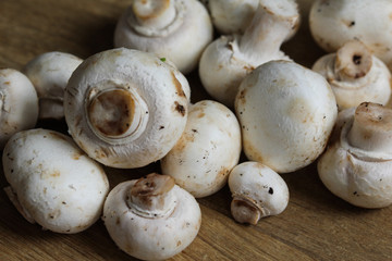 Fototapeta premium white button Common mushroom (Agaricus bisporus) on wooden table background