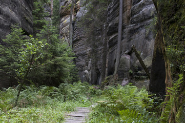 Obraz premium The narrow path among high rocks (Adrspach Rock City) 