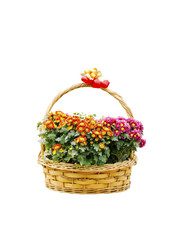 Fototapeta na wymiar Beautiful bouquet of bright flowers in basket isolated on white