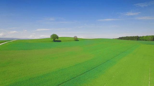 4K Windows XP aerial drone shot. Two lovely trees in a poetic green landscape