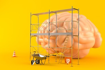 Brain renovation concept