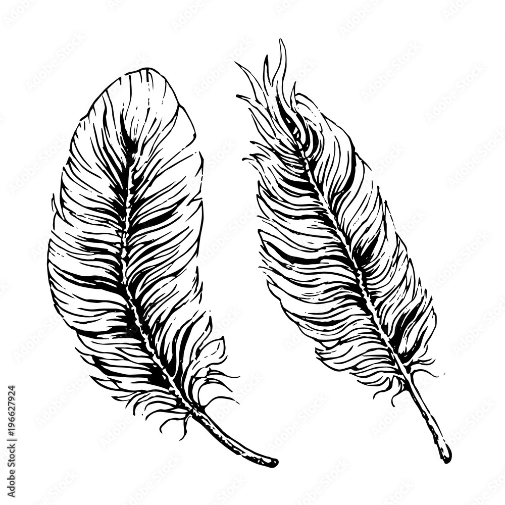 Wall mural hand drawn black ink vector feathers isolated on white background - Wall murals