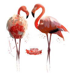Pink Flamingo watercolor illustration - obrazy, fototapety, plakaty