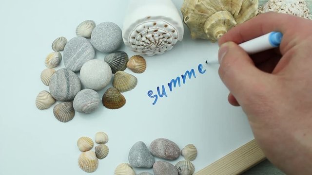 Summer time and floret