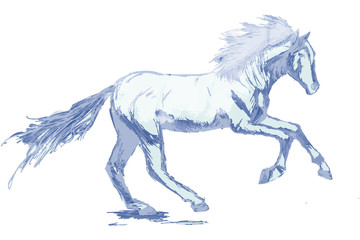 Obraz na płótnie Canvas лошадь