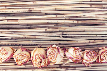 Dry roses on reed background