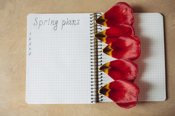 Spring plans