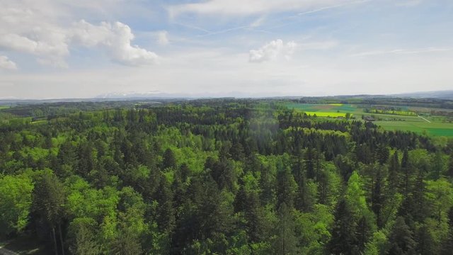 4K Cinematic aerial shot of a vivid green forest. Switzerland - Western Europe