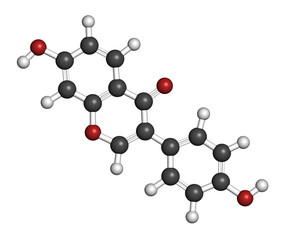 Daidzein isoflavone molecule. 3D rendering. Atoms are represented as spheres with conventional color coding: hydrogen (white), carbon (grey), oxygen (red).