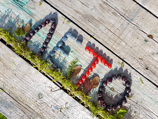 the inscription berries.