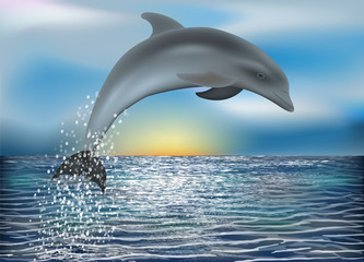 Dolphin background. vector illustration