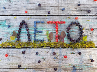 the inscription berries.