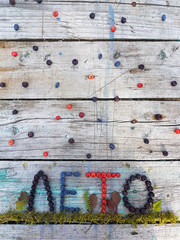 the inscription berries.