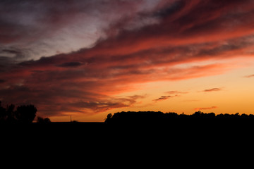 Pink and Yellow Sky Photo, Horizon Silhouette