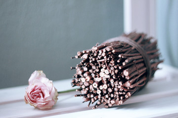 dry rose and branches