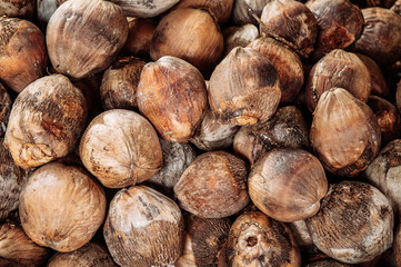 Group of Coconuts,  coconuts for decoration