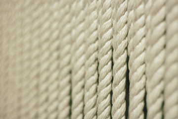 white ropes.