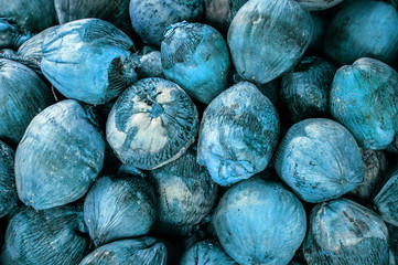 Fototapeta na wymiar Group of Coconuts, coconuts for decoration