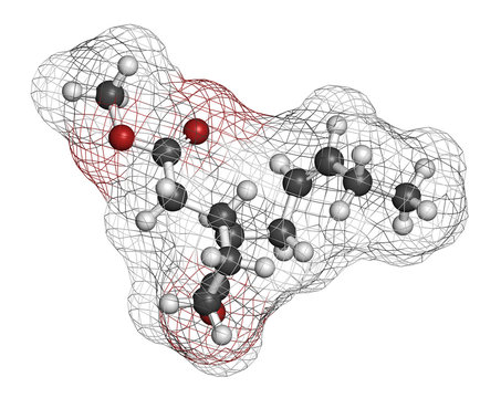 Methyl jasmonate plant stress signal molecule. 3D rendering. Atoms are represented as spheres with conventional color coding: hydrogen (white), carbon (grey), oxygen (red).