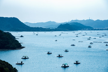 徳島、早春・内海の釣筏群