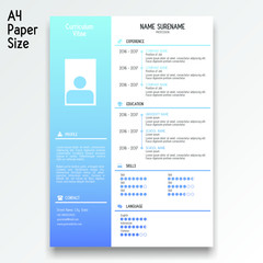 Professional Curriculum Vitae Template
