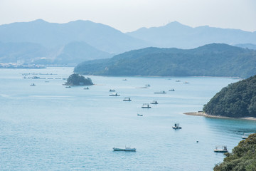 徳島、早春・内海の釣筏群