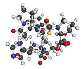 Semax peptide drug molecule. 3D rendering. Atoms are represented as spheres with conventional color coding: hydrogen (white), carbon (grey), nitrogen (blue), oxygen (red), sulfur (yellow).