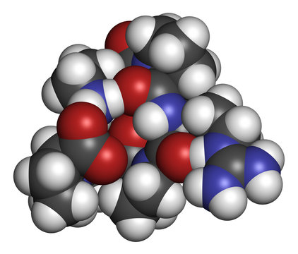 Selank nootropic and anxiolytic peptide drug molecule. 3D rendering. Atoms are represented as spheres with conventional color coding: hydrogen (white), carbon (grey), nitrogen (blue), oxygen (red).