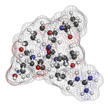 Selank nootropic and anxiolytic peptide drug molecule. 3D rendering. Atoms are represented as spheres with conventional color coding: hydrogen (white), carbon (grey), nitrogen (blue), oxygen (red).