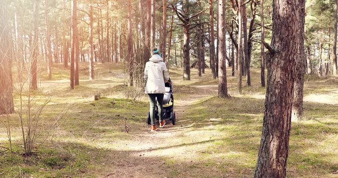 young mother with baby stroller walking in the forest on sunny spring day