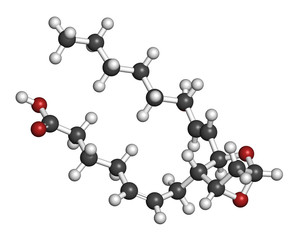 Thromboxane A2 (TXA2) molecule. 3D rendering. Atoms are represented as spheres with conventional color coding: hydrogen (white), carbon (grey), oxygen (red).
