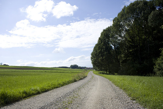 Kiesweg am Waldrand