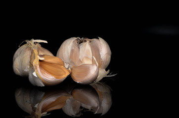 Garlic on a black background.